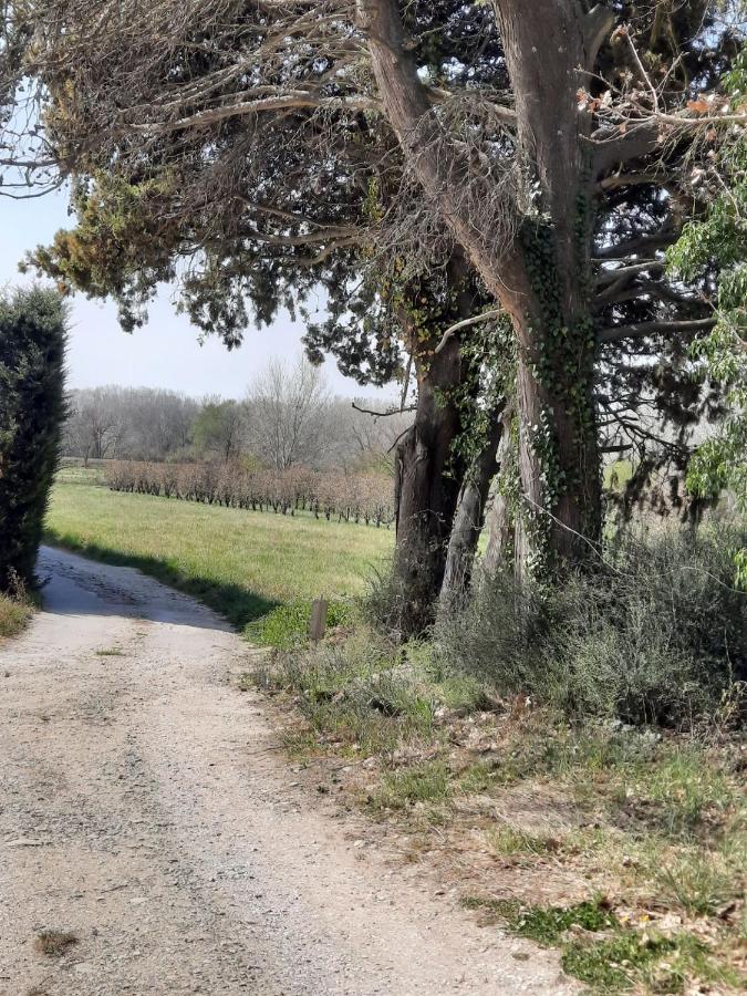 Le Mas Des Oliviers Villa Puget Buitenkant foto