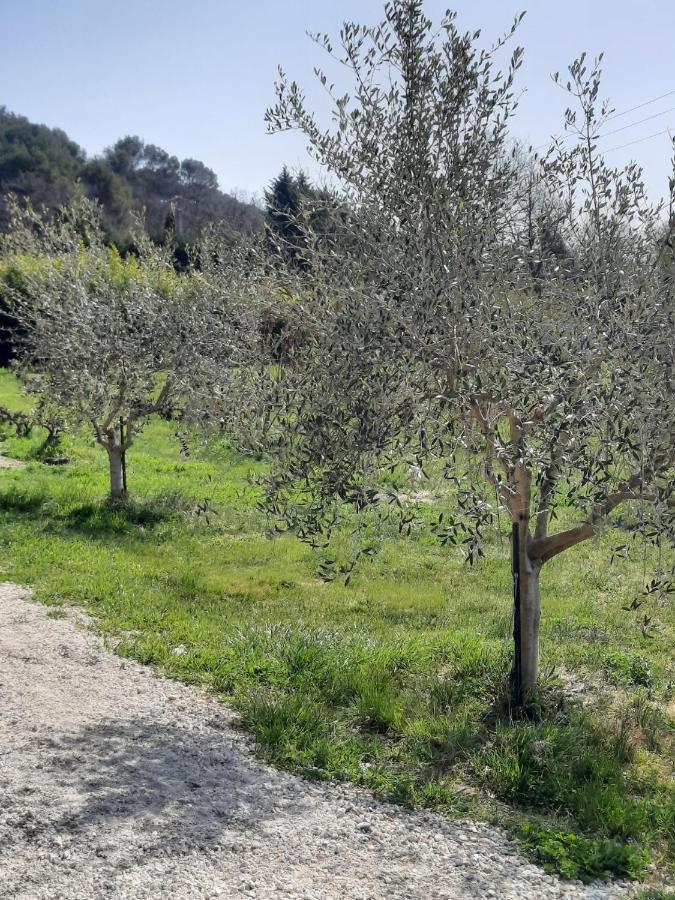 Le Mas Des Oliviers Villa Puget Buitenkant foto